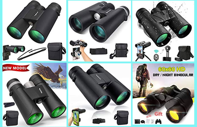 Best Budget Night Vision Binoculars