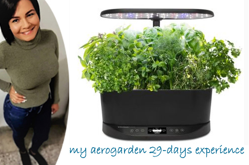 my aerogarden experience