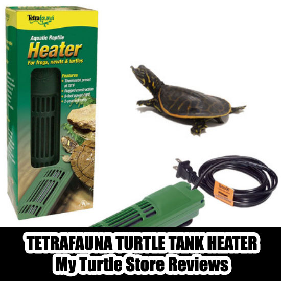 My-Turtle-Store-Reviews2.jpg