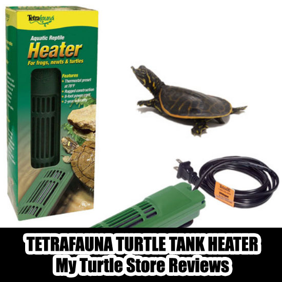 My Turtle Store Is It legit Site Or Just Another Scam?