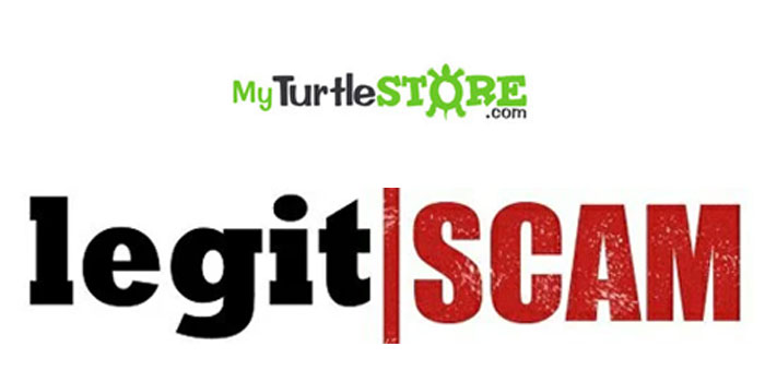 is-My-Turtle-Store-legit-or-scam.jpg