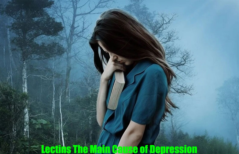 lectins-the-main-cause-of-depression1